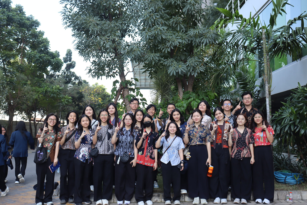 Album Pelma 15